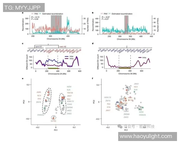 广州飞盘队意识表现分析：数据揭示团队协作与战术执行的关键因素